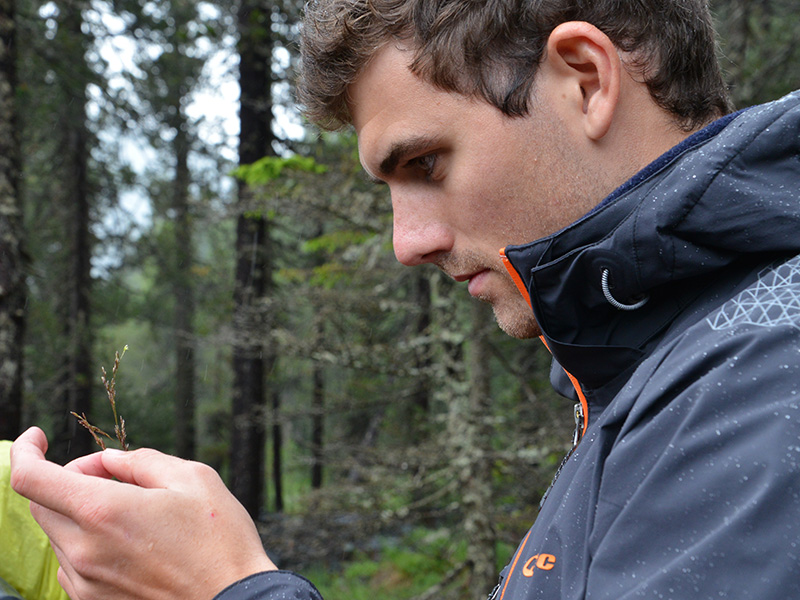 Enlarged view: Environmental Engineering student Matthias Gmür is fixing the characteristics of grass in his memory.
