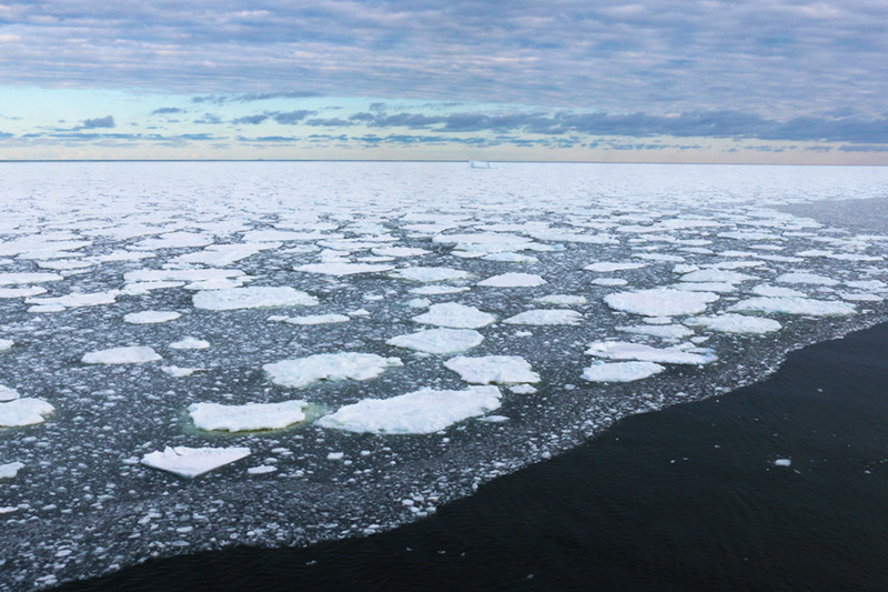 Enlarged view: Melting sea ice at the ice edge in the Ross Sea.