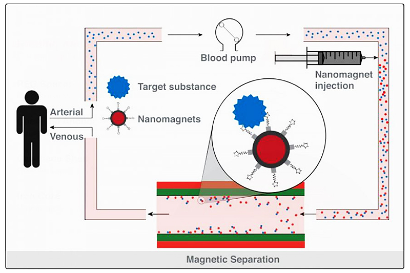 Scheme of Hemotune's blood purification method. (Graphics: www.hemotune.ch)