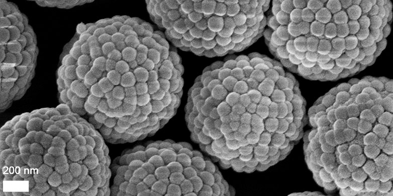 Scanning electron microscope (SEM) image of the silica raspberry-like particles, showing the controlled roughness of their surfaces. (Image: Michele Zanini, Isa Group, ETH Zurich)