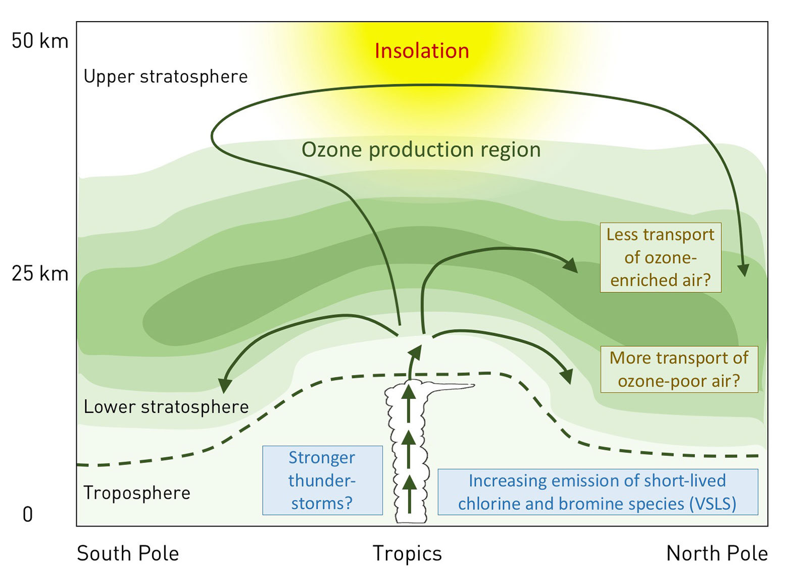 Enlarged view: The ozone layer 