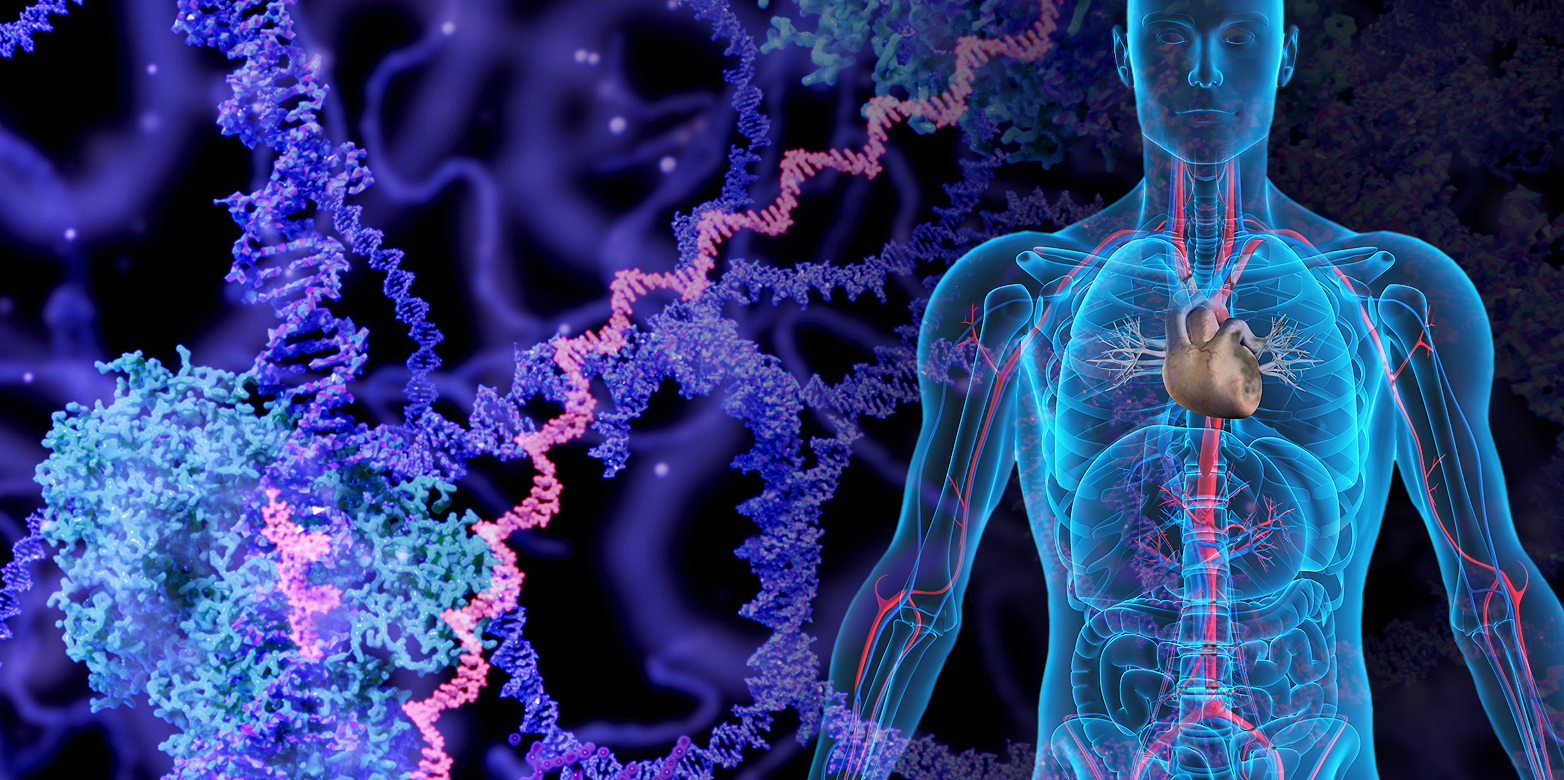 Enlarged view: ETH researcher discover thousands of unknown splicing variants of RNA molecules in cancer patients. (Graphics: iStock.com / selvanegra / comotion_design, Montage: ETH Zurich)