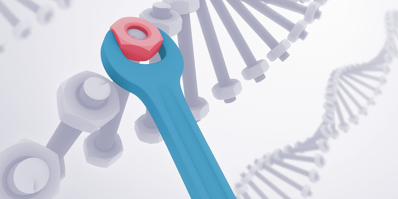 Based on the Crispr-Cas method, researchers developed a tool for the targeted correction of defective genes. (Image: Colourbox)