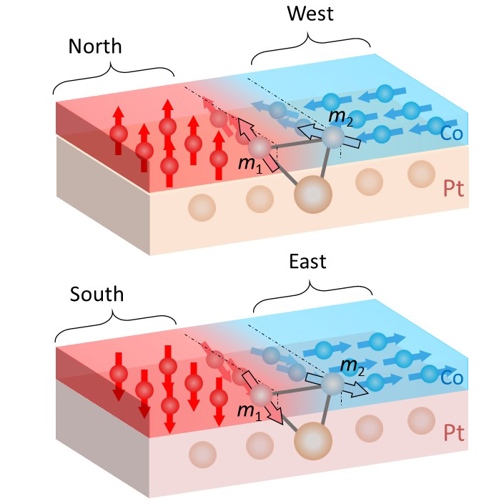 Enlarged view: If a group of cobalt atoms aligns to the North or South (red), the neighbouring cobalt atoms align to the West or East (blue). The orientation of the neighbouring atoms is within the plane. This interaction requires sandwiching of the cobalt layer between a platinum layer (below, beige) and an aluminium oxide layer (above, not shown here). (Illustration: Paul Scherrer Institute/Zhaochu Luo)