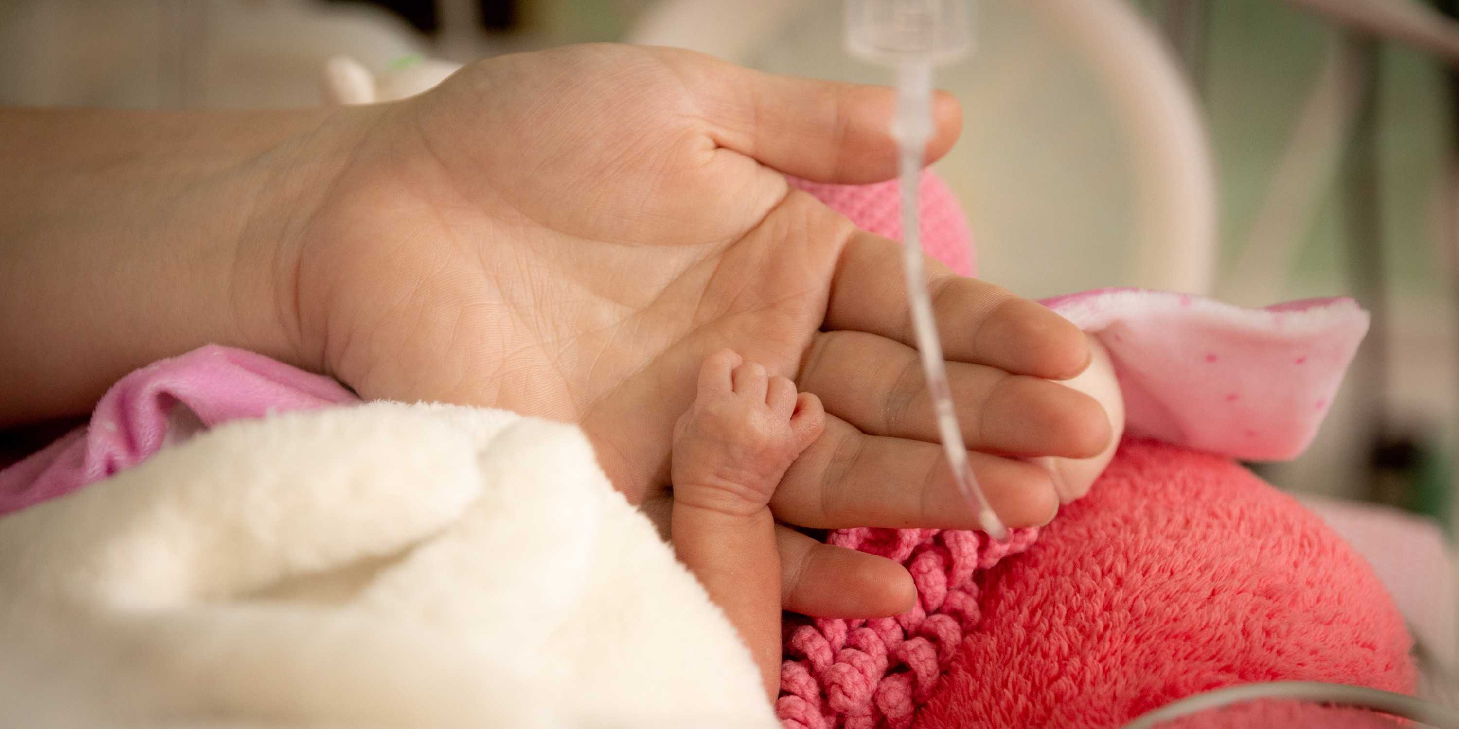 A baby's hand lying in the hand of an andult in an incubator