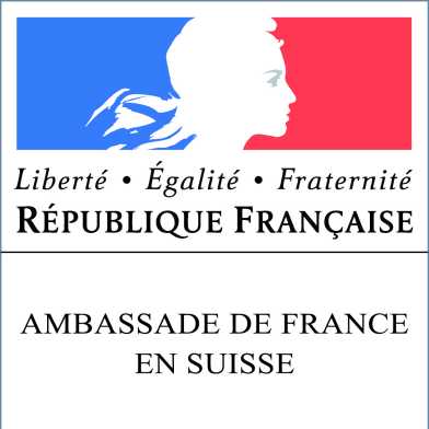 Logo Ambassade France