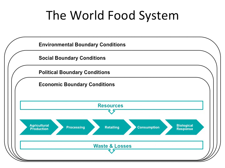 Vergrösserte Ansicht: Slide explaining the world food system