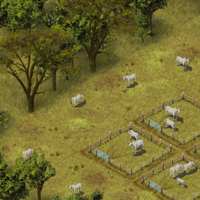 Screenshot des Rinderfarm-Planspiels