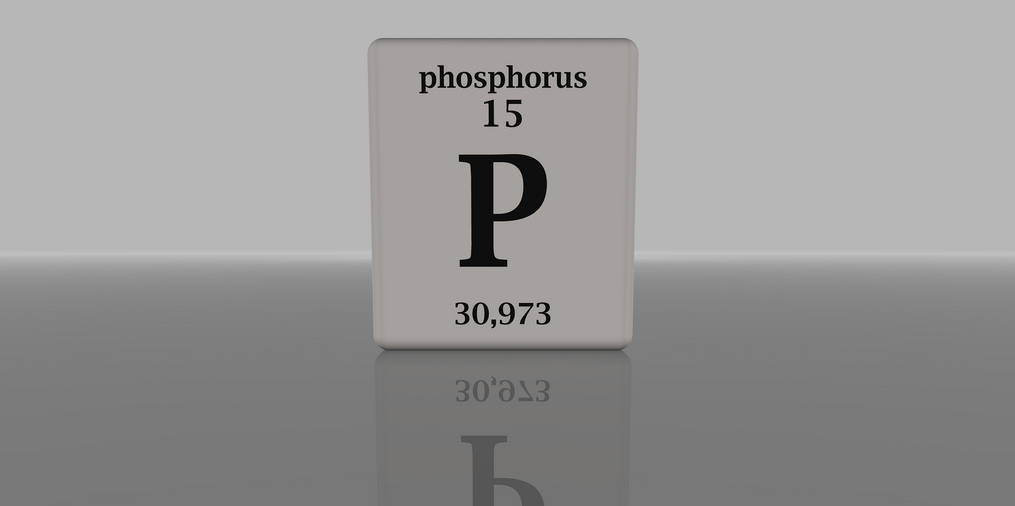 Vergrösserte Ansicht: Phosphor
