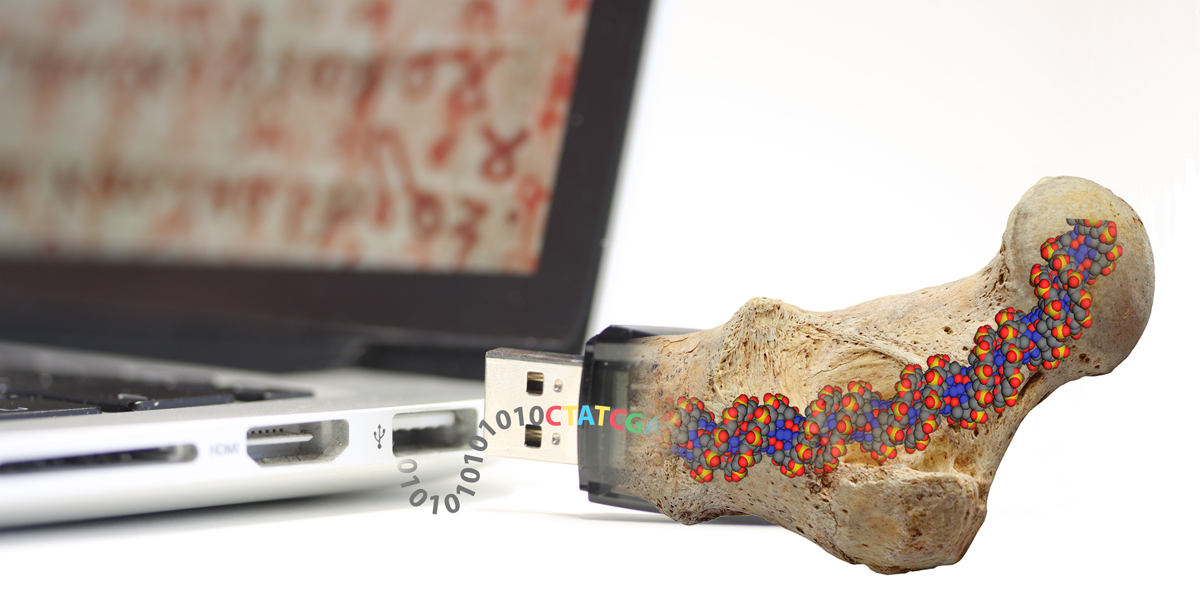 Vergrösserte Ansicht: digitalisierte Daten werden in DNA geschrieben, die wiederum in einem Fossil verschlossen wird