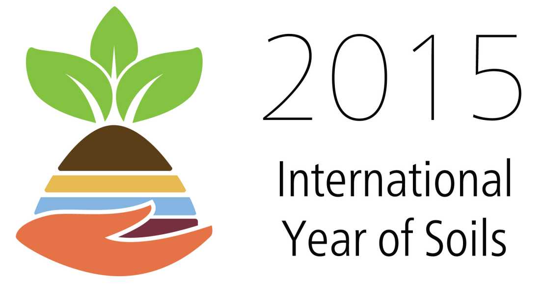 logo international year of soils