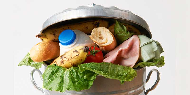 Vergrösserte Ansicht: Lebensmittel in Mülltonne