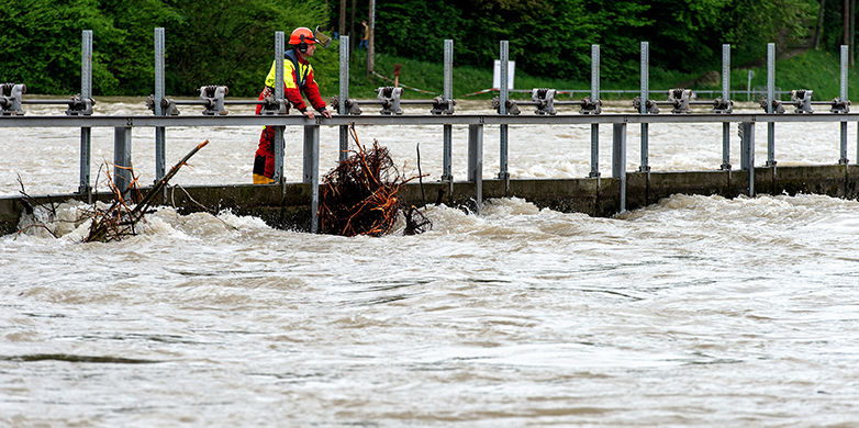 Vergrösserte Ansicht: Aare-Hochwasser im Mai 2015