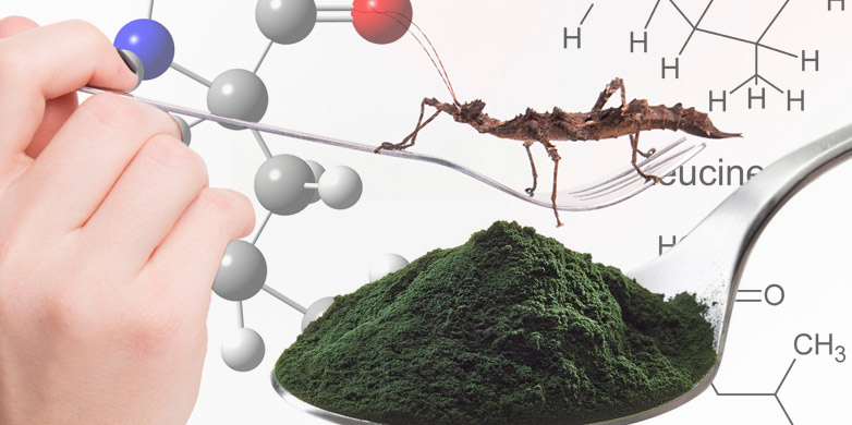 Vergrösserte Ansicht: Algae and Insects promis sustainable proteins.