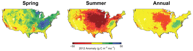 Satellitenmessungen deckten auf, welche Gebiete im Jahr 2012 mehr (grün-blau) oder weniger (orange-rot) Kohlenstoff aufnahmen. Im Sommer haben die Grasländer des Mittleren Westens nur noch sehr wenig Kohlenstoff aufgenommen. (Grafik aus Wolf et al, 2016, PNAS)