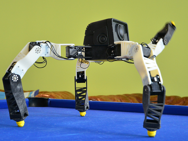 Vergrösserte Ansicht: Winke, winke: Der Roboter schreitet auf zwei Beinen voran, dreht sich und winkt mit dem linken Vorderbein. (Bild: P. Rüegg/ ETH Zürich)