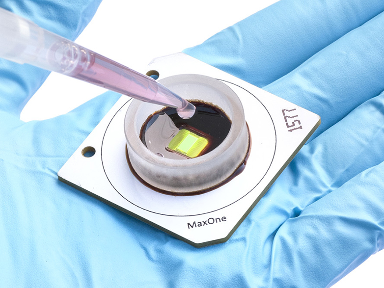 Vergrösserte Ansicht: MaxOne: «MaxOne», die Mikroelektroden-Plattform für elektrophysiologische Zellanalysen (Bild: Maxwell Biosystems)
