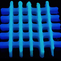 Grid aus bakterienhaltigem Material, 3D-gedruckt (aus Schaffner et al. Science Advances 2017)