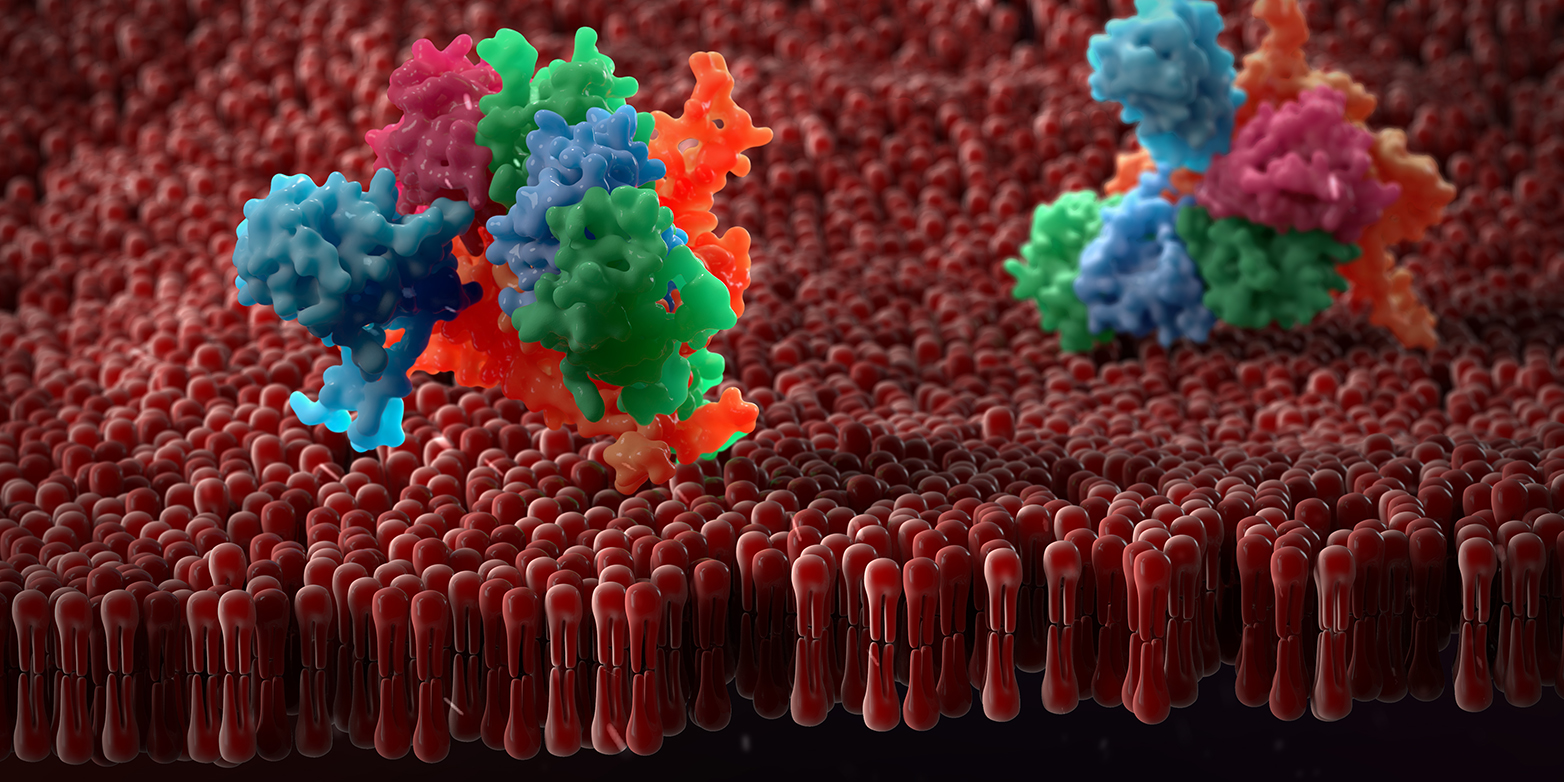 Vergrösserte Ansicht: Künstlerische Darstellung einer Membran mit darin eingebetteten Proteinen: ETH-Forscher haben eine Methode entwickelt, die der Strukturaufklärung solcher Moleküle Schub verleihen wird. (Bild: www.colourbox.com)