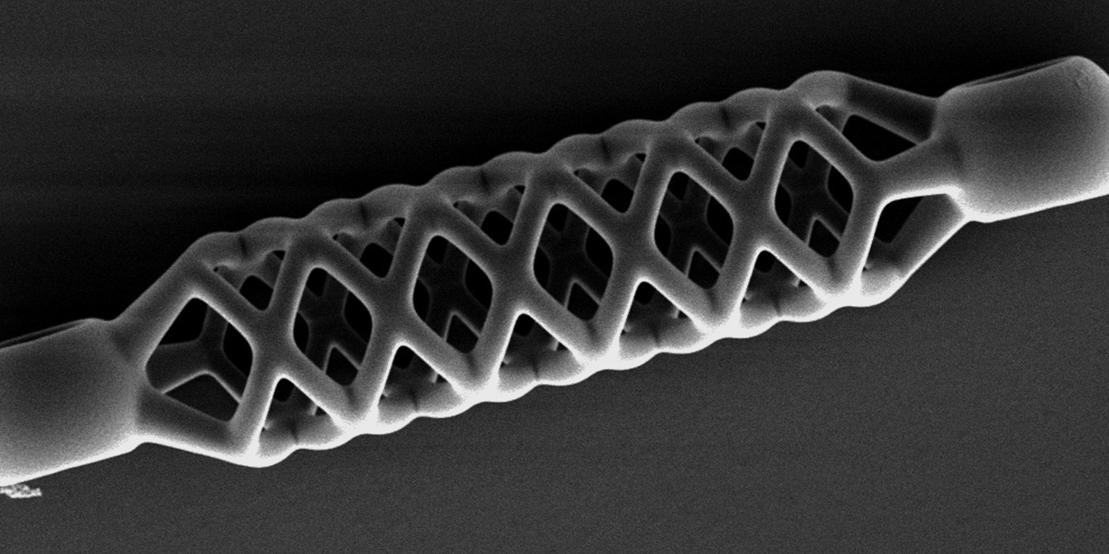Dieser Mikrostent ist nur gerade 50 Mikrometer (0,05 mm) breit und einen halben Millimeter lang. (Bild: Carmela de Marco / ETH Zürich)