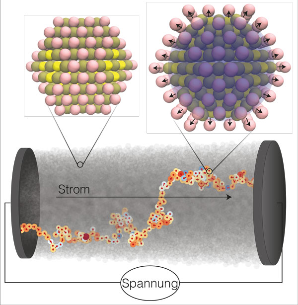 Vergrösserte Ansicht: In einem Nanokristall-Halbleiter wird elektrischer Strom von Elektronen übertragen, die von Nanokristall zu Nanokristall springen. Bei jedem Sprung verformt die Ladung des Elektrons den Nanokristall (oben links) und bildet ein Polaron (oben rechts).