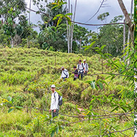 Studierende während der Wanderung durch den Urwald in den Iga-​Gebiete