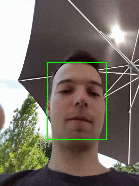 Vergrösserte Ansicht: Am Beispiel von Sander Staal, Co-Autor der Studie, ist zu sehen, wie die Blickkontakterkennung funktioniert. Ein grünes Rechteck bedeutet Augenkontakt, rot kein Augenkontakt.
