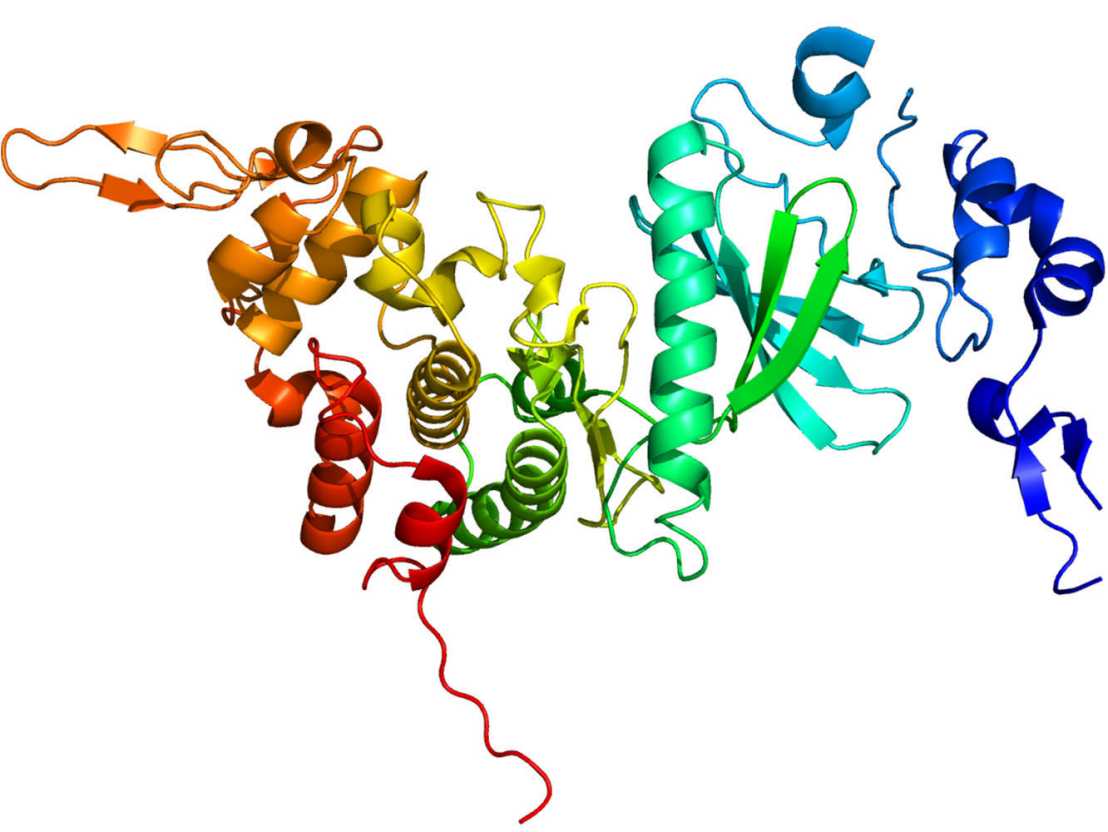 Vergrösserte Ansicht: Protein Dyrk2