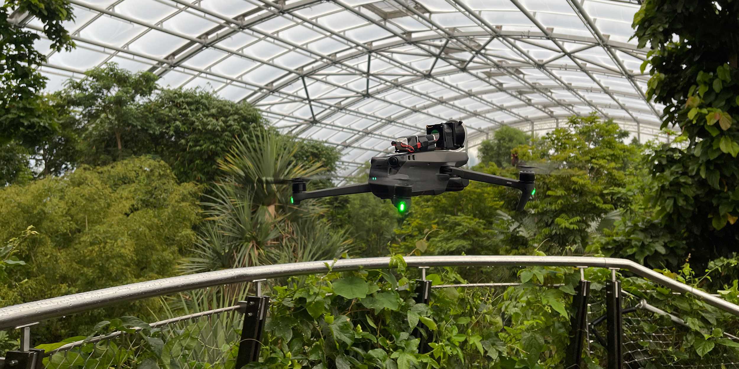 Drohne am üben im Zürich Zoo