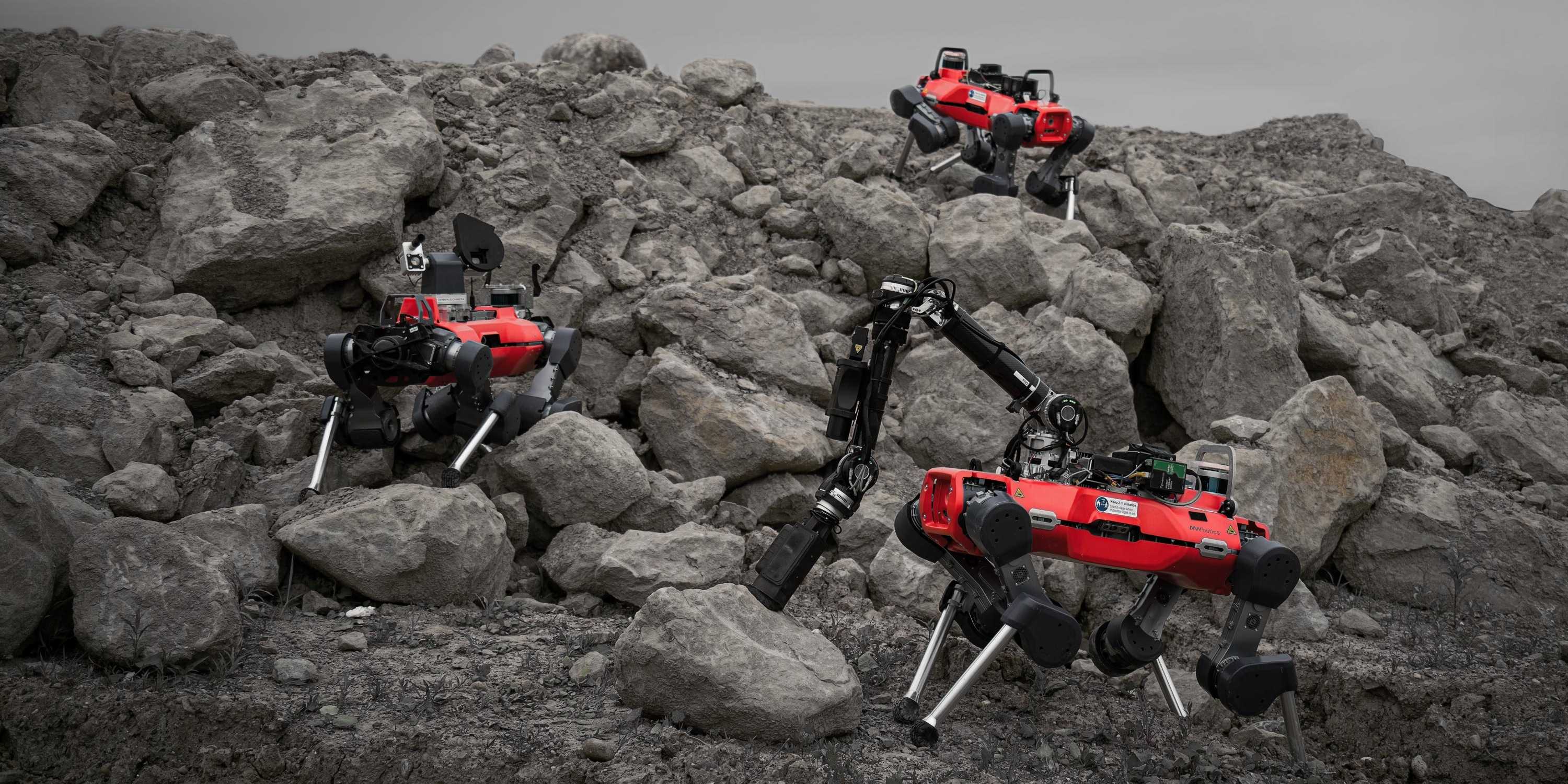Drei Laufroboter (rot) in einer steinigen Landschaft (Kiesgrube).