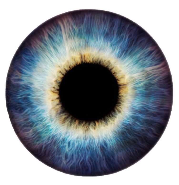 Die bunte Iris von einem Auge, um die Pupille ist sie leicht braun, in der Mitte ein strahlendes hellblau und an den Rändern dunkelblau