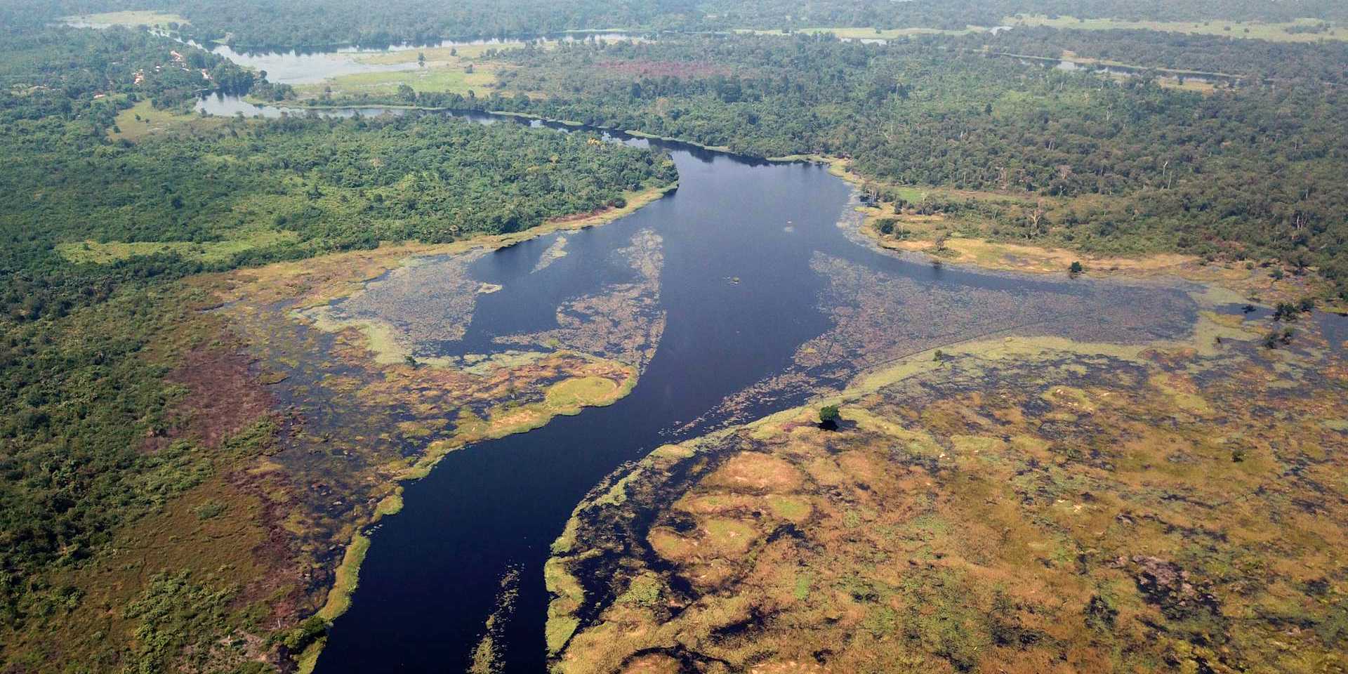 Flusslandschaft, welche mit einer Drohne aufgenommen wurde.