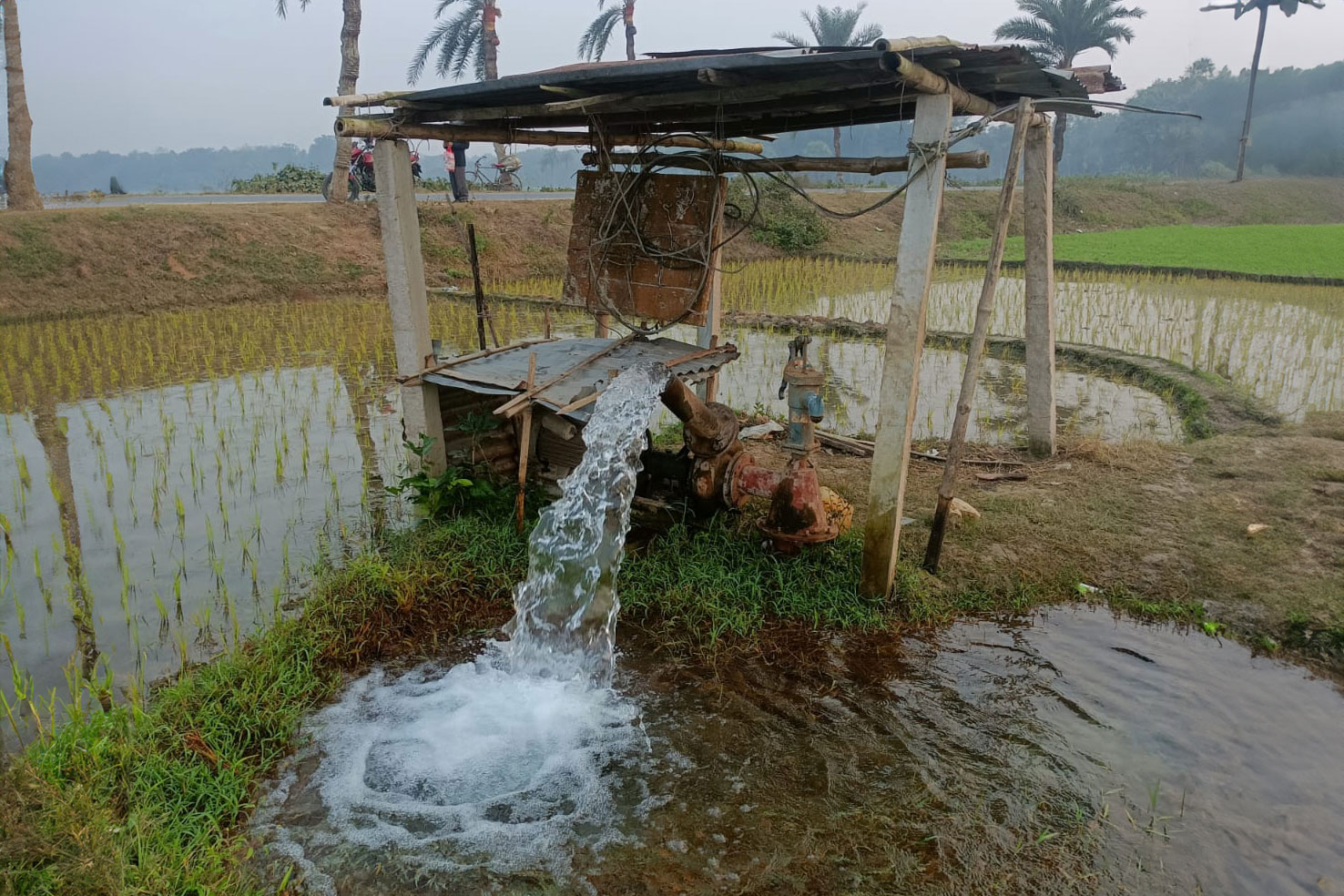 Wasserpumpe auf einem Reisfeld