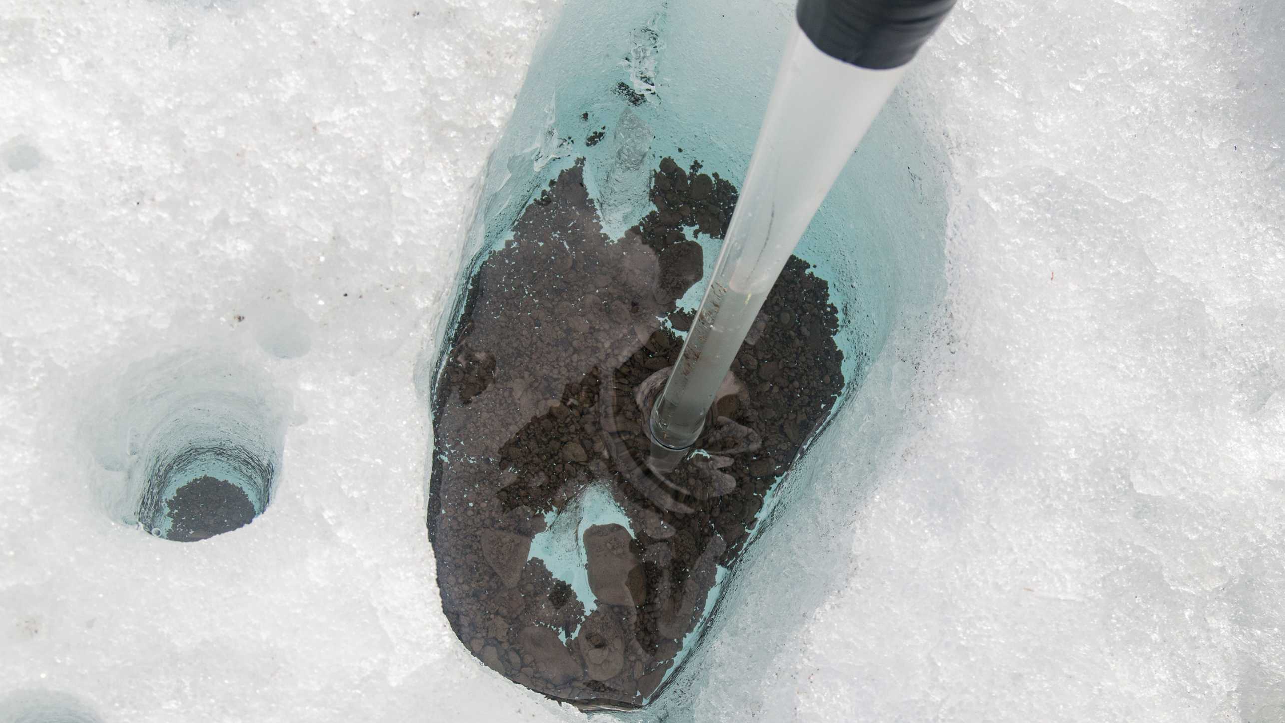 Bohrkern bei einem Gletscher, unter der Eisschicht sind dunkle Sedimente erkennbar.