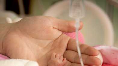 Die Hand eines Babys in der eines Erwachsenen in einem Krankenhaus-Inkubator