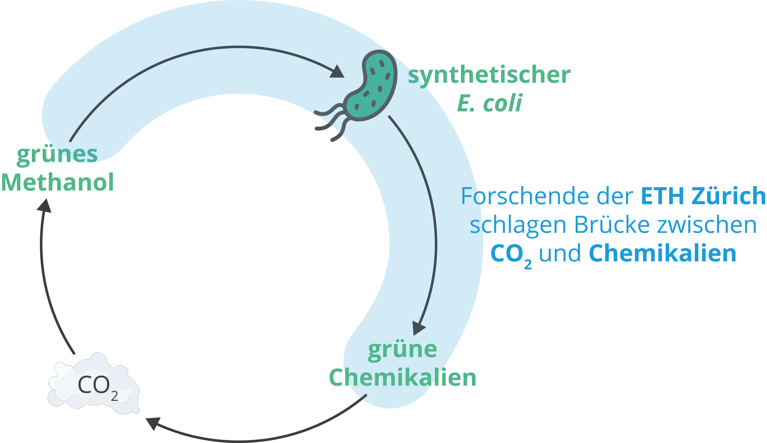 Kreislauf welcher die Brücke zwischen CO2 und Chemikalien beschreibt.