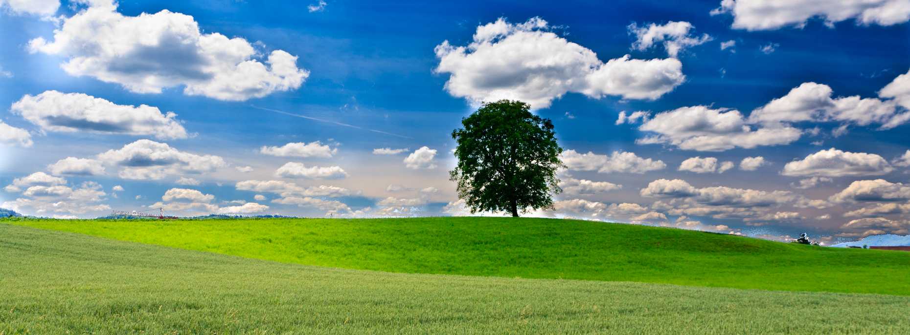 Wiese, Baum am Horizont, blauer Himmel mit vorüberziehenden Wolken