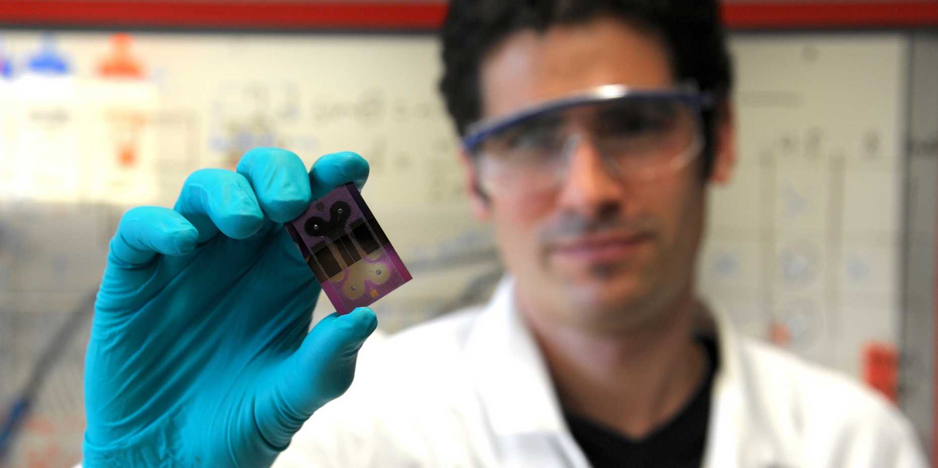 Enlarged view: Scientist presents a test chip