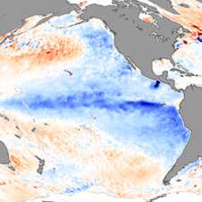 Anomalien der Oberflächentemperatur des Meerwassers (Grafik: NASA Earth Observatory)