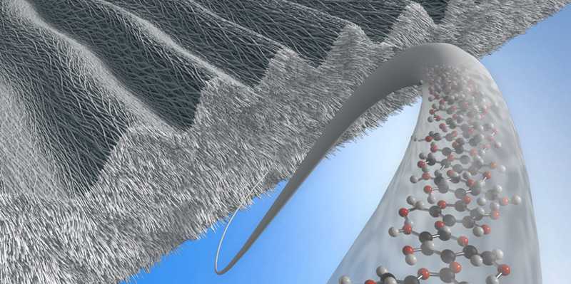Enlarged view: Cartoon depicting a surface-structured sheath composed of bacterial cellulose nanofibers
