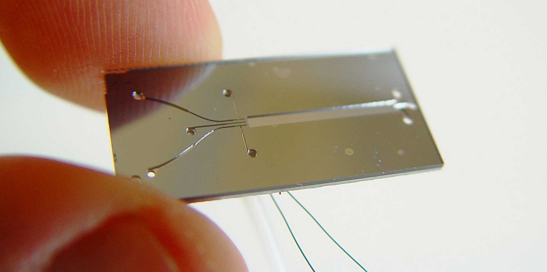 Enlarged view: lab on a chip