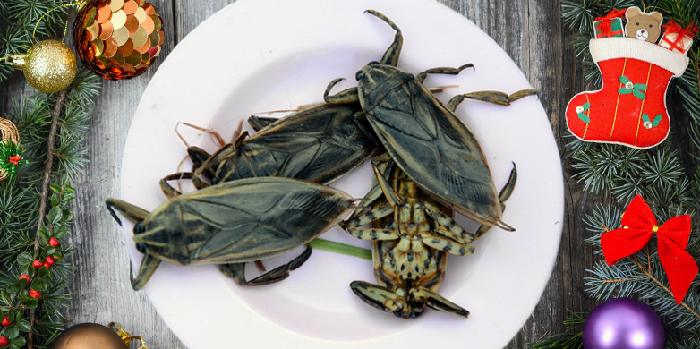 Enlarged view: Insekten als kulinarischer Genuss