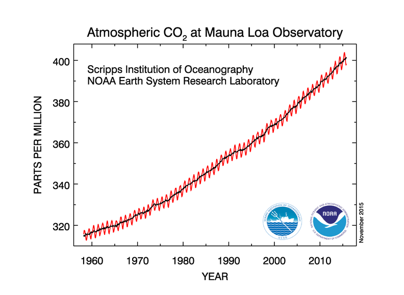 Enlarged view: The carbon dioxide data measured on Mauna Loa.