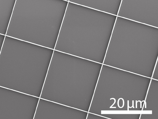 Enlarged view: Nanogrid
