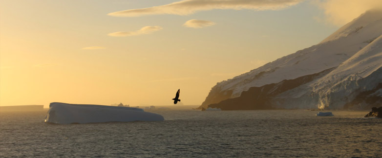 Evening off the coast of Southern Thule Island, the southernmost of the South Sandwich Islands. 