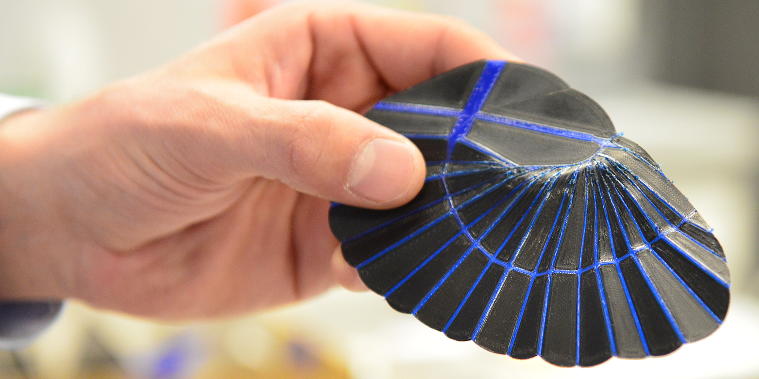 The 3D-printed imitation of the earwig wing can be folded as compact as its natural counterpart.&nbsp;However, the automatic folding function so far only works in the simplified prototypes (Photograph: ETH Zurich / Peter Rüegg)