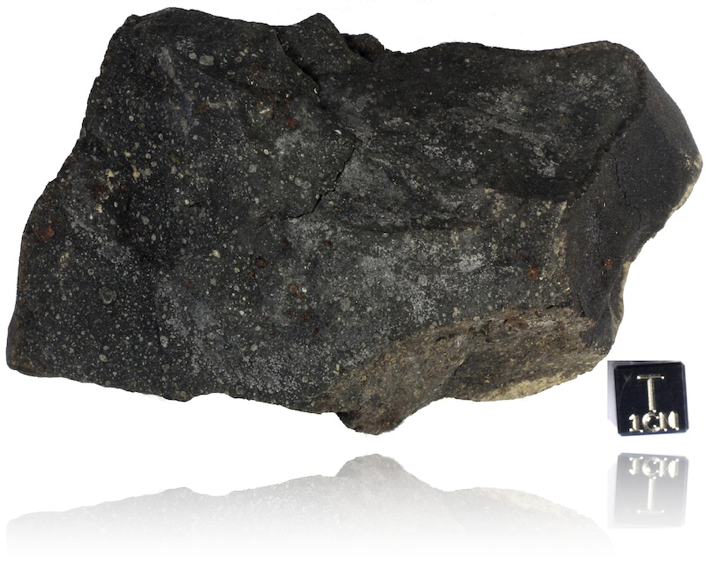 Sample of the Murchison meteorite (Photograph: Field Museum, Chicago)