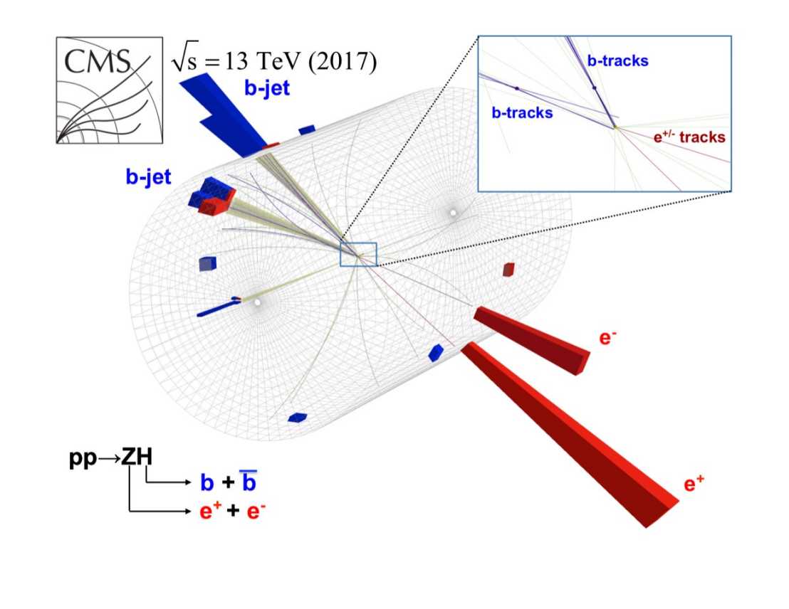 Candidate event showing the associated production of a Higgs boson and a Z boson, with the subsequent decay of the Higgs boson to a bottom quark and its antiparticle. (Graphics: CMS Collaboration/Cern)