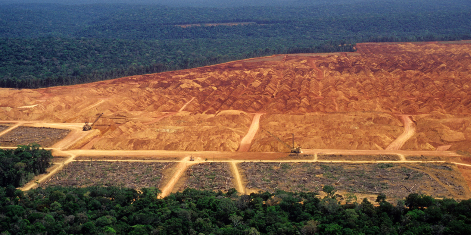 Deforestation in the Amazon is increasing again