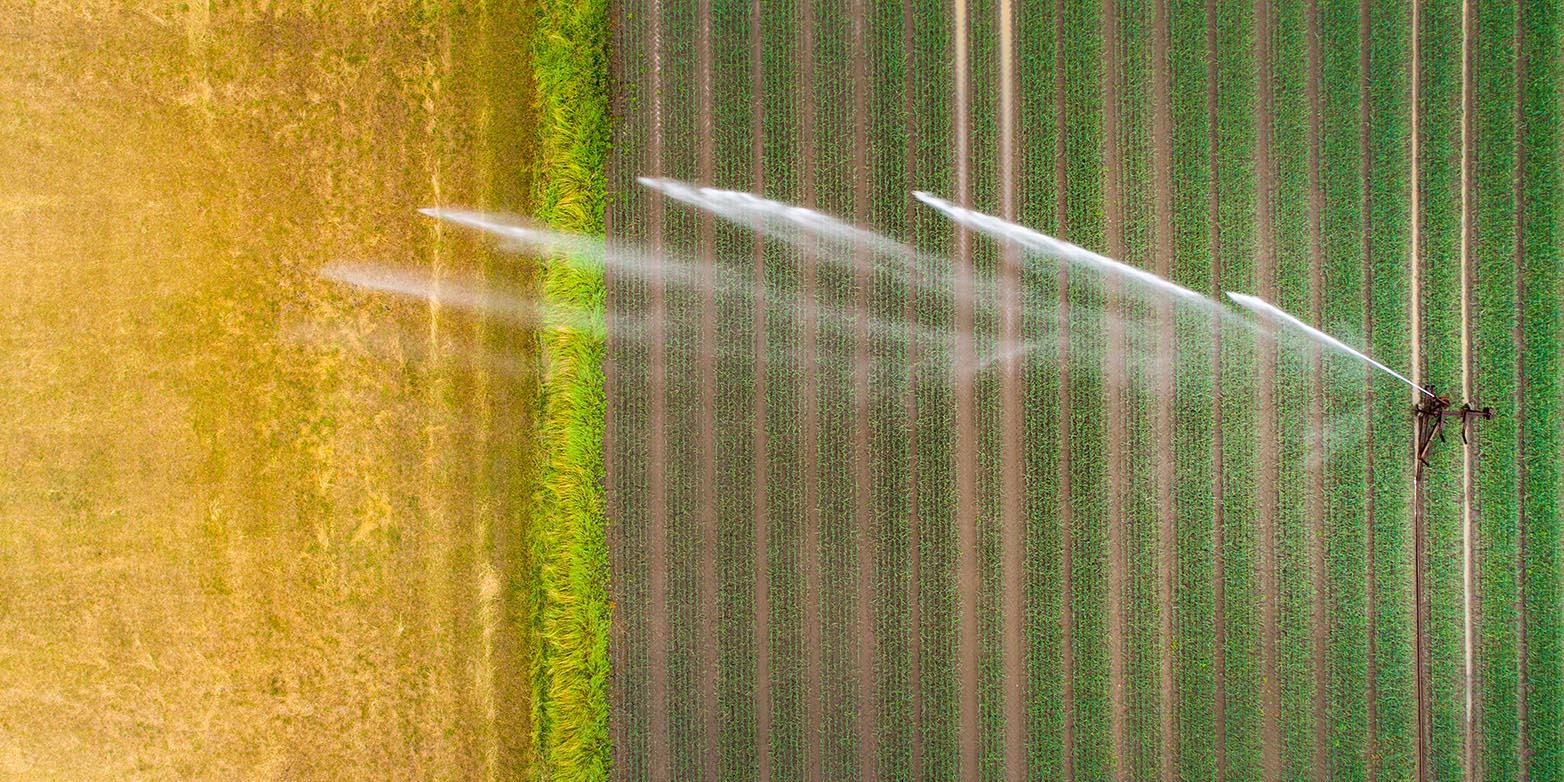 Warming of hot extremes has been regionally masked by expanding irrigation. (Photograph: iStock / ollo)